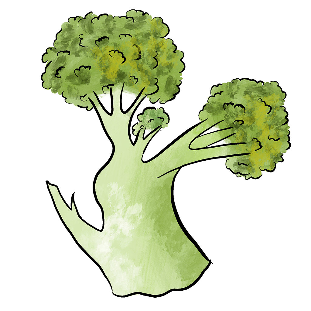 broccoli