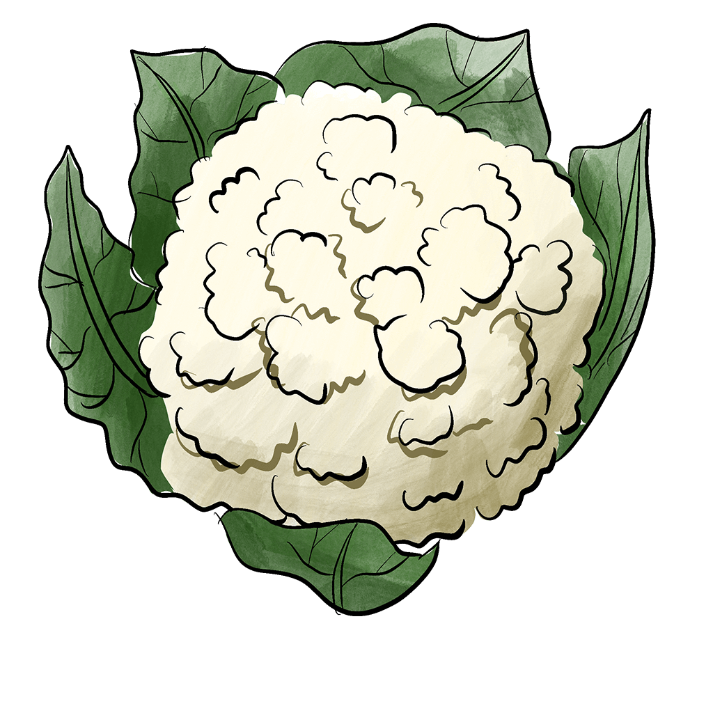 cauliflower