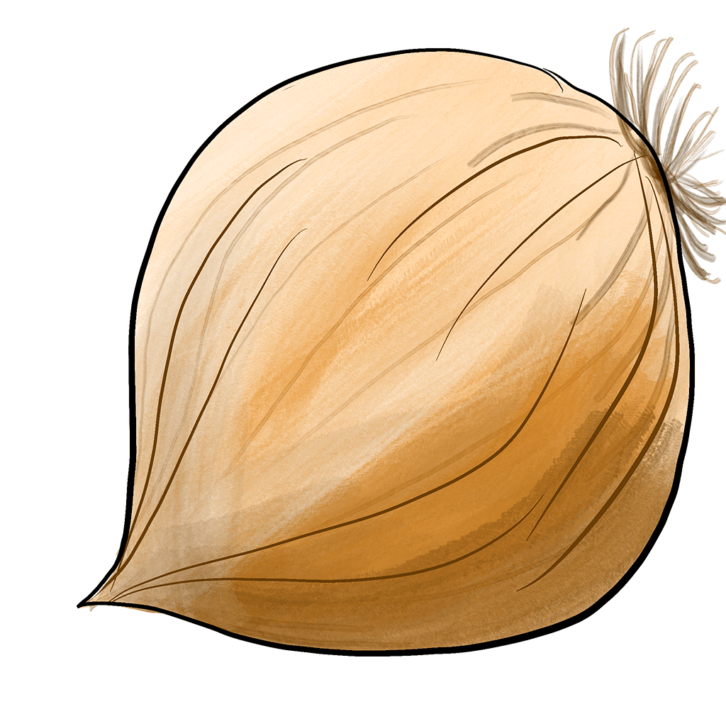 onion